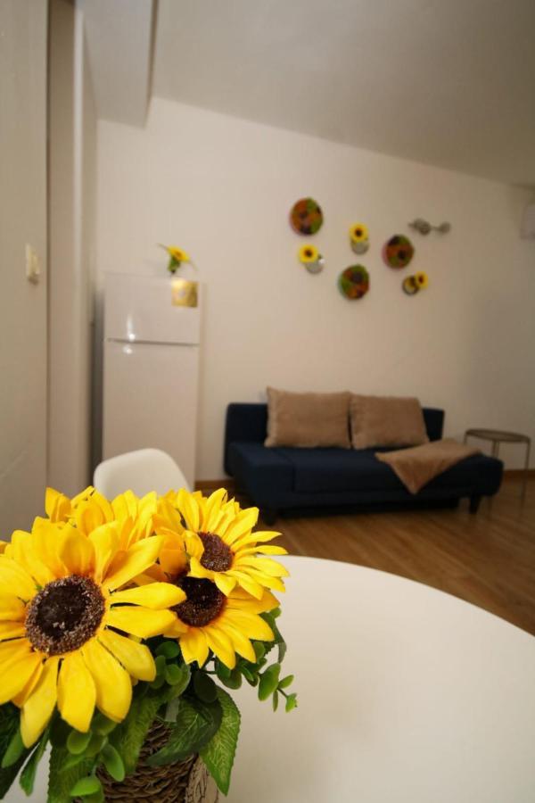 Blue Sky Apartment Temešvár Exteriér fotografie
