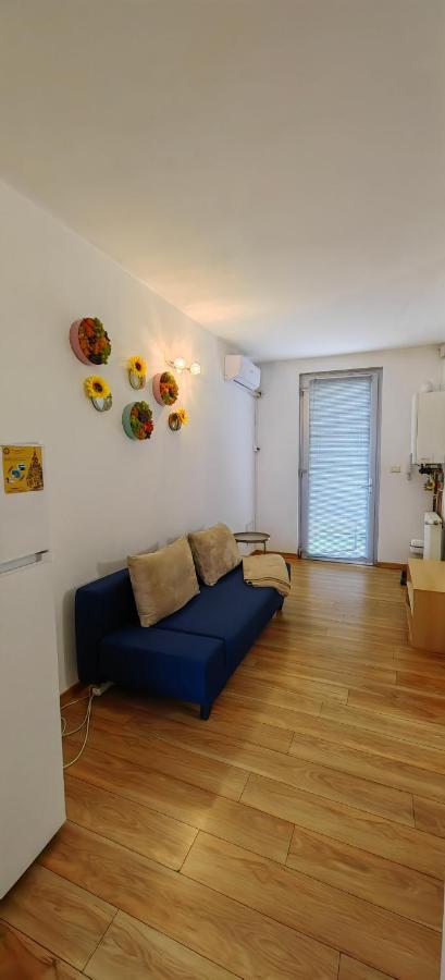 Blue Sky Apartment Temešvár Exteriér fotografie