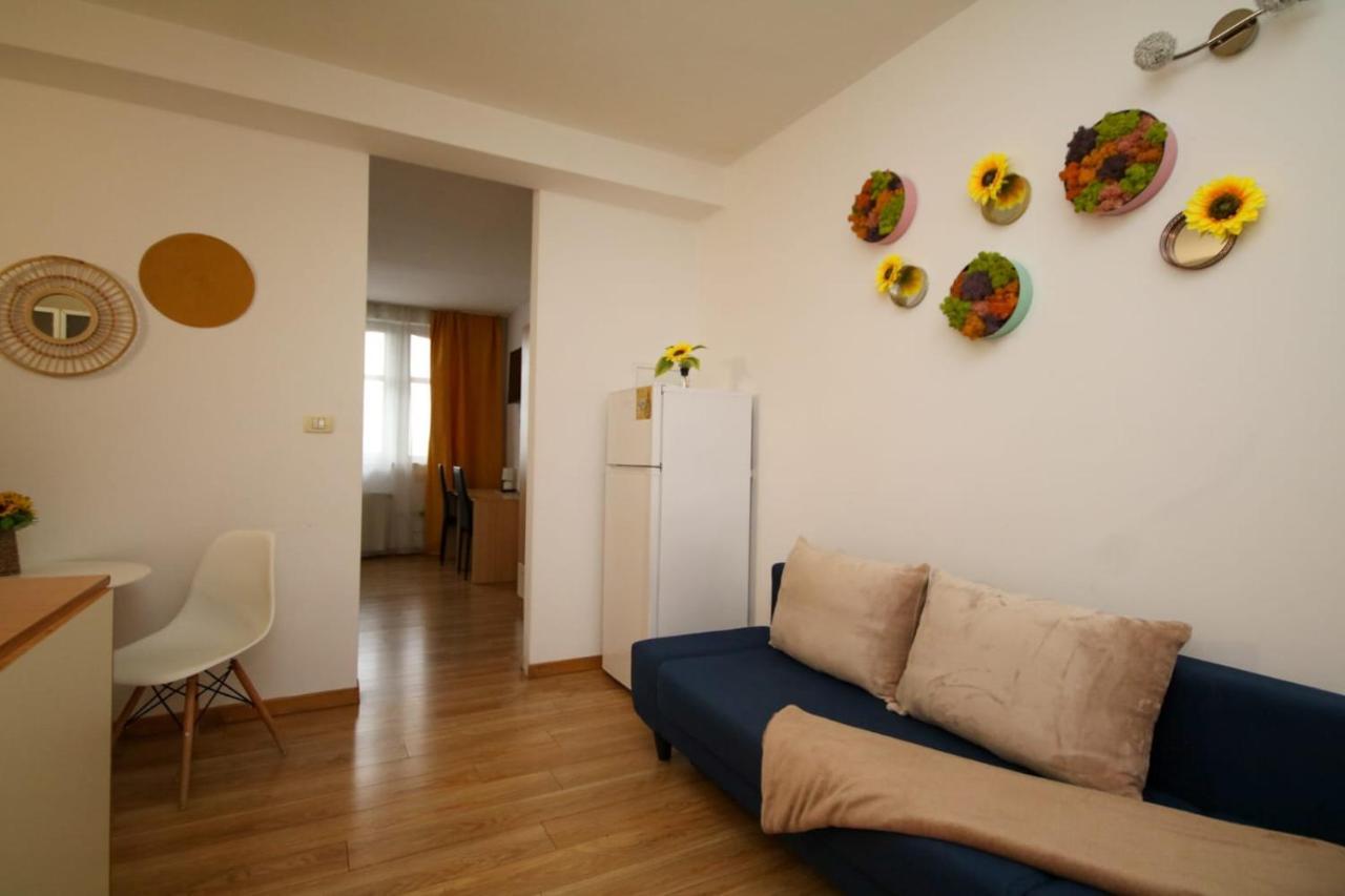 Blue Sky Apartment Temešvár Exteriér fotografie